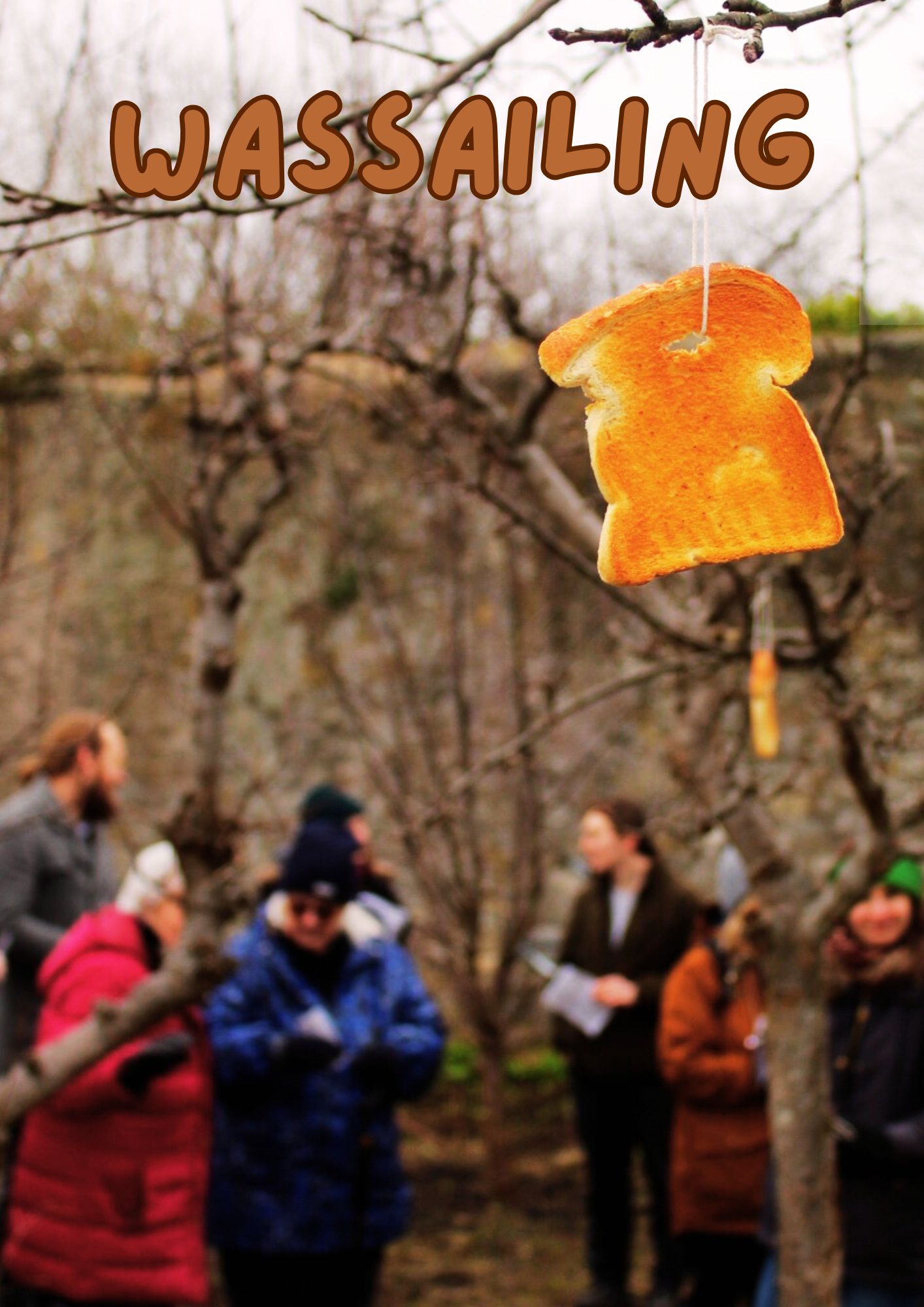 wassailing 2026-photo