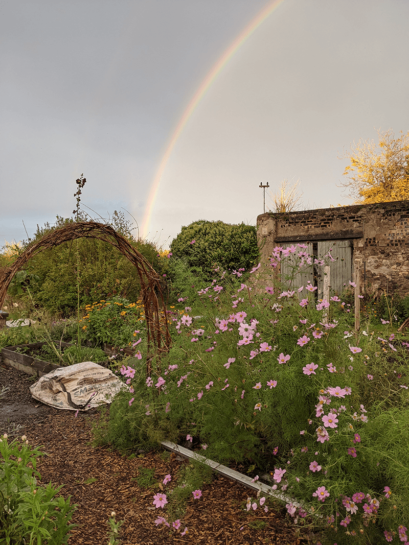 Garden-rainbow_Image©Marion-Sandwith