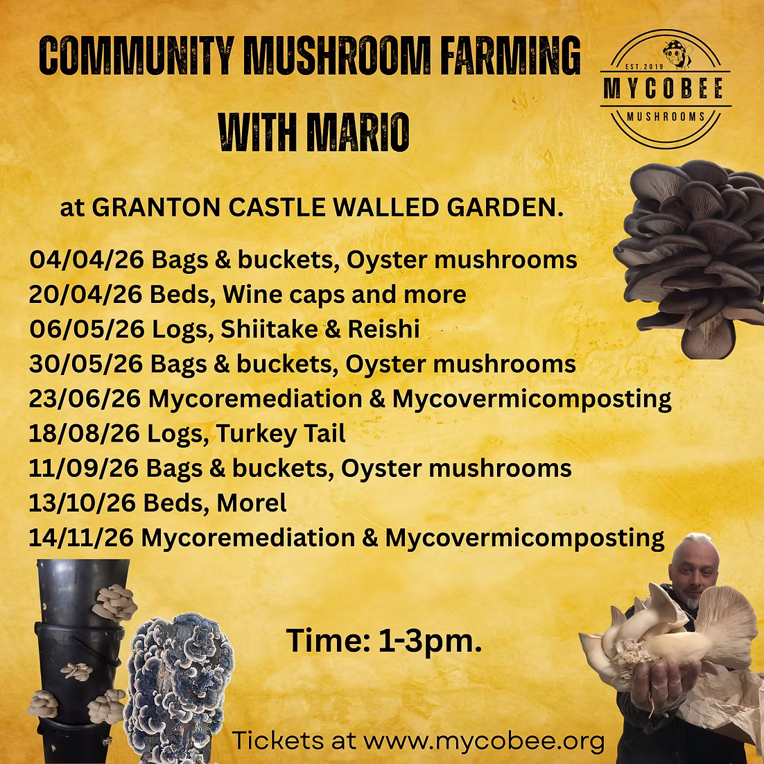 0cc72f_1dbf1ed879f8418daad03d43e4d5f272~mv2