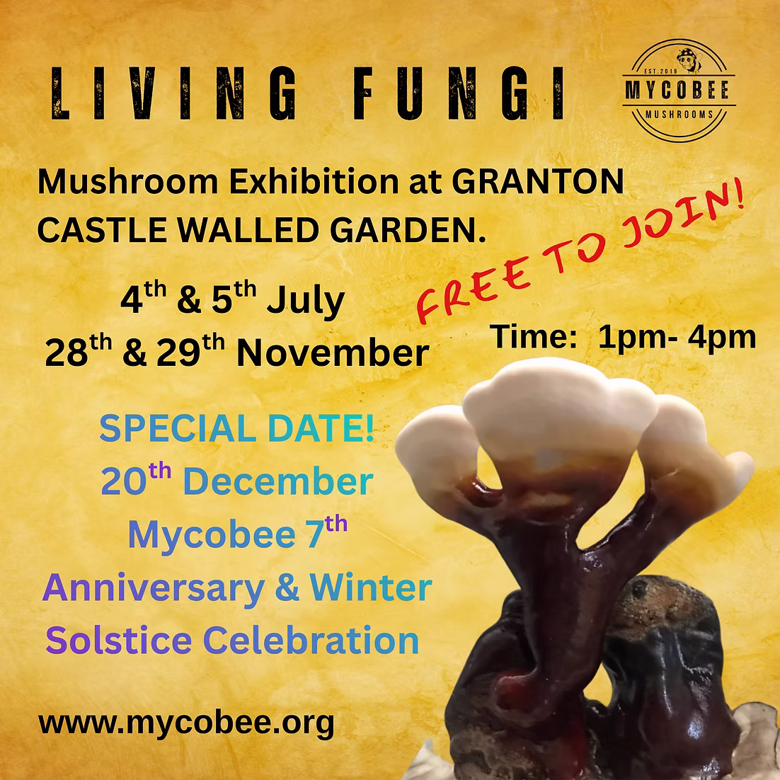 0cc72f_28c296b0c21345d69ba758f04920a80f~mv2