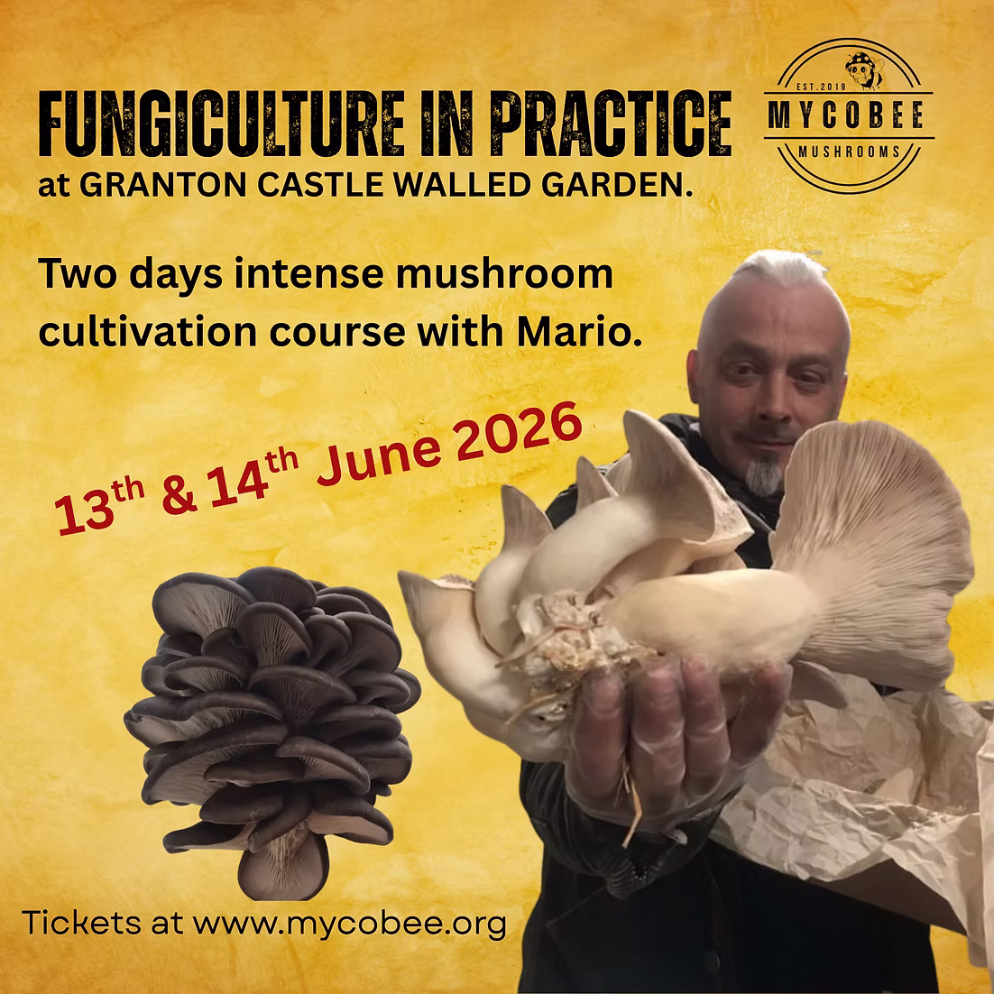 0cc72f_2d3b00bdd01e4c8a962fcb5314ce2c07~mv2