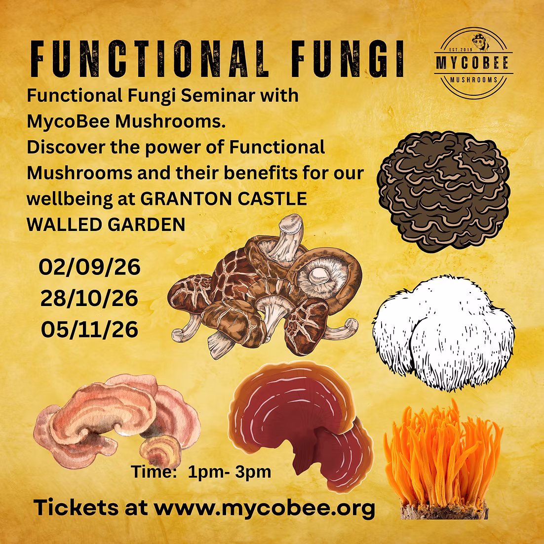 0cc72f_af0910f219574cc589a35e450de7661e~mv2